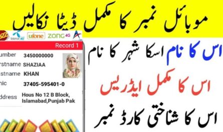 number owner check apkubl